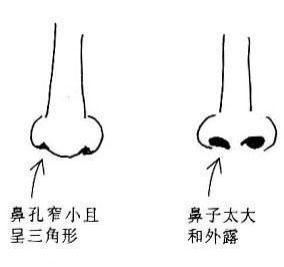 鼻孔宽窄-女人相研究