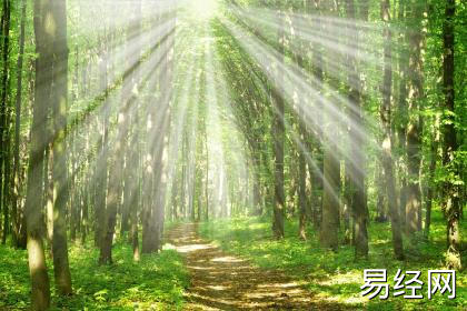 【最新】天星择日在线排盘，七政四馀天星择日法和乌兔太阳择日法有什么区别？【易经知识】