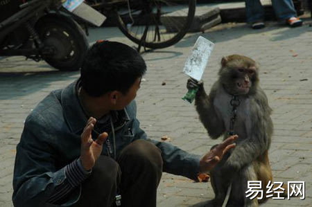 梦见拿菜刀砍人