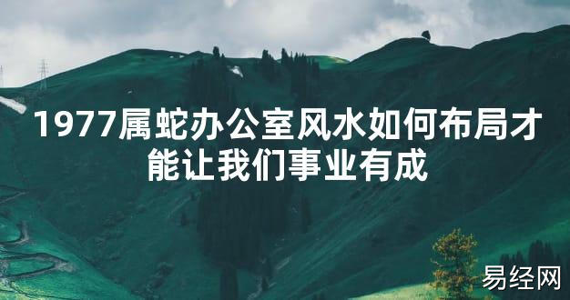 【2024最新风水】1977属蛇办公室风水如何布局才能让我们事业有成【好运风水】