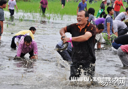 梦见别人在抓鱼