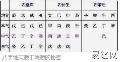 【八字预测】八字运势 地支如何运用呢？,最新八字知识