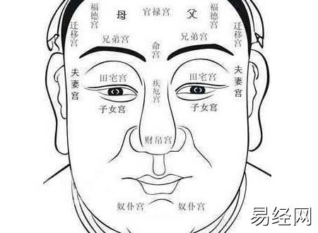 四种有经商天赋的面相特征生意上能够取得成功