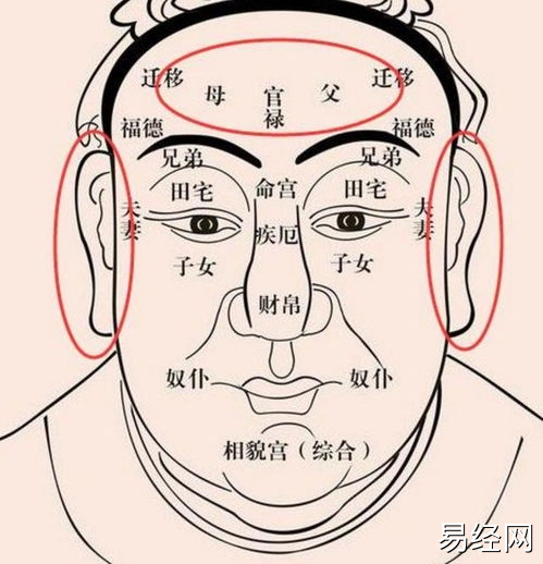 　四种面相福气浅薄，事业失败率高