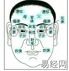 五官、三停、十二宫面相详解