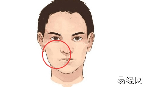 　面相：鼻子的30条信息