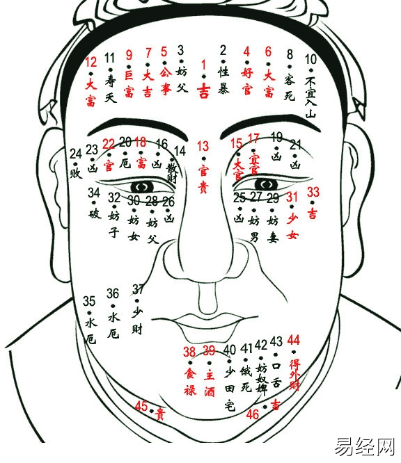 “麻衣神相”入门基础知识解析