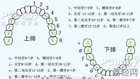 梦见换牙是什么意思？周公解梦大全查询免费