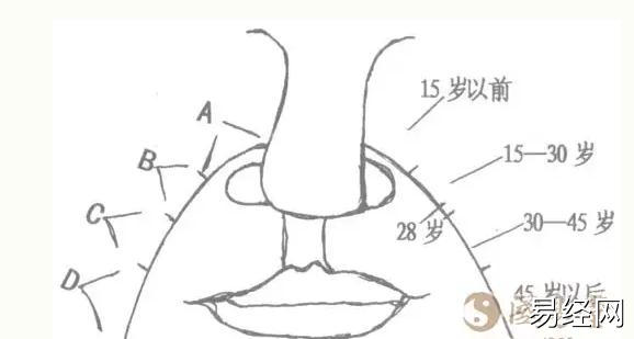 相法令绝招,面相图解相法令绝招分解