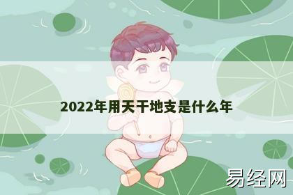 2022年用天干地支是什么年