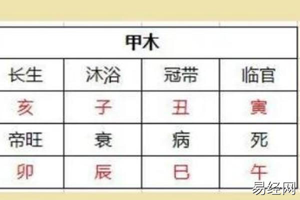 2024年1月12日出生命格分析，今日出生时辰吉凶预测