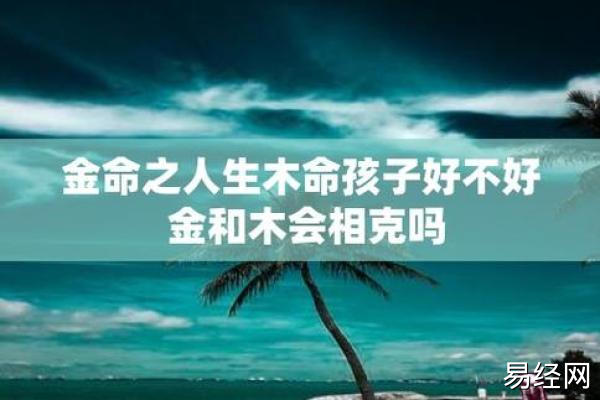 金命人和木命人八字是否合得来