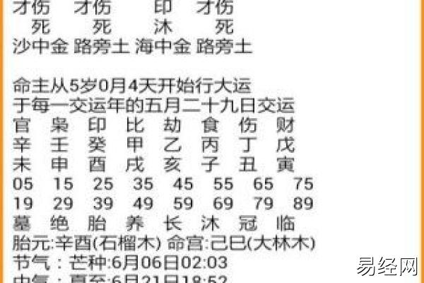 八字中带国印和将星哪个更有利