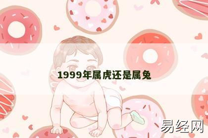 1999年属虎还是属兔