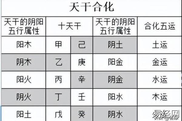 2024年甲辰年的五行旺衰情况