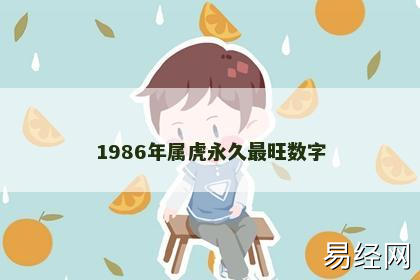 1986年属虎永久最旺数字