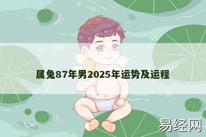 属兔87年男2025年运势及运程