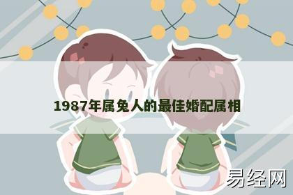 1987年属兔人的最佳婚配属相