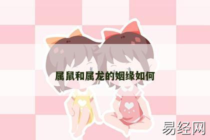 属鼠和属龙的姻缘如何