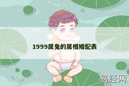 1999属兔的属相婚配表