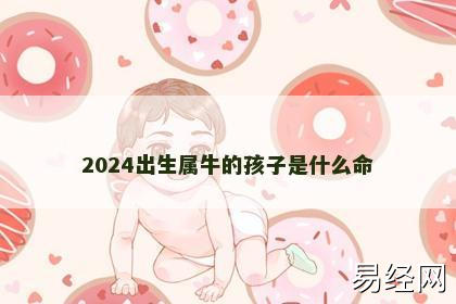 2024出生属牛的孩子是什么命