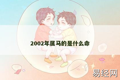 2002年属马的是什么命