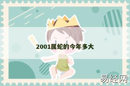 2001属蛇的今年多大