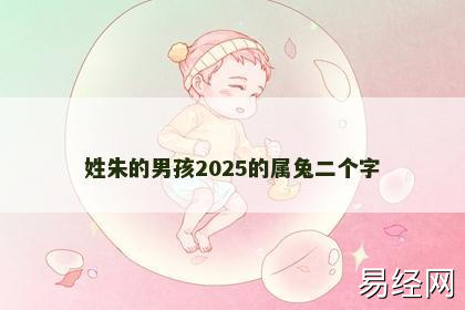 姓朱的男孩2025的属兔二个字