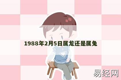 1988年2月5日属龙还是属兔