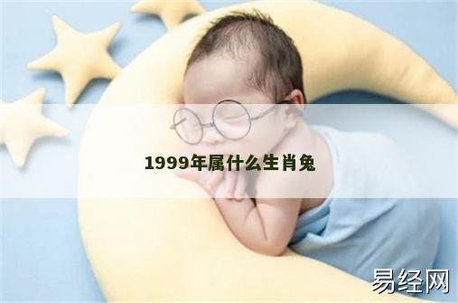 1999年属什么生肖兔