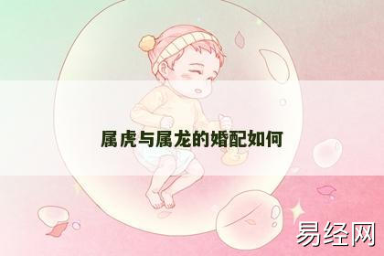 属虎与属龙的婚配如何