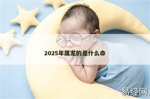 2025年属龙的是什么命