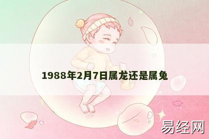 1988年2月7日属龙还是属兔