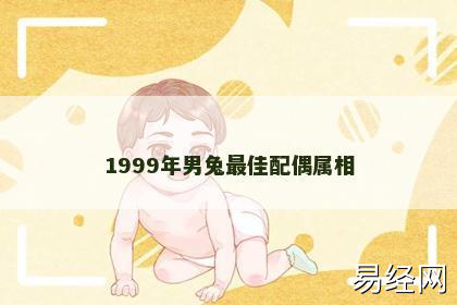 1999年男兔最佳配偶属相