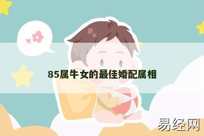 85属牛女的最佳婚配属相