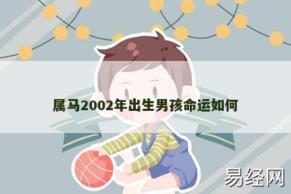 属马2002年出生男孩命运如何