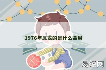 1976年属龙的是什么命男