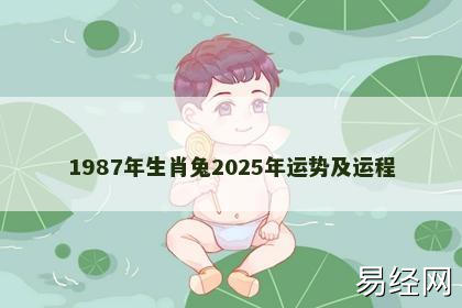 1987年生肖兔2025年运势及运程