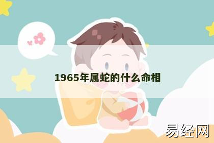 1965年属蛇的什么命相