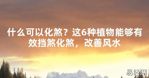 【2024最新风水】什么可以化煞？这6种植物能够有效挡煞化煞，改善风水【好运风水】