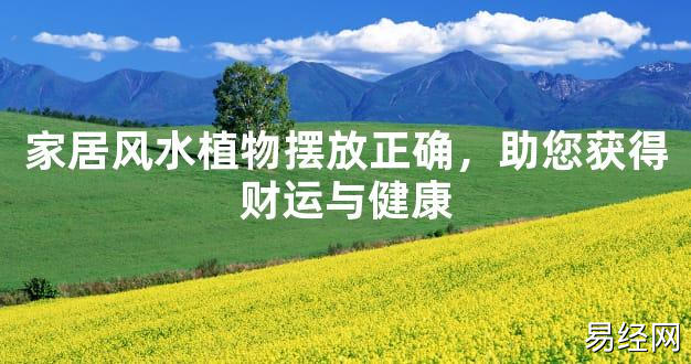 2024最新风水,家居风水植物摆放正确，助您获得财运与健康【风水好运】