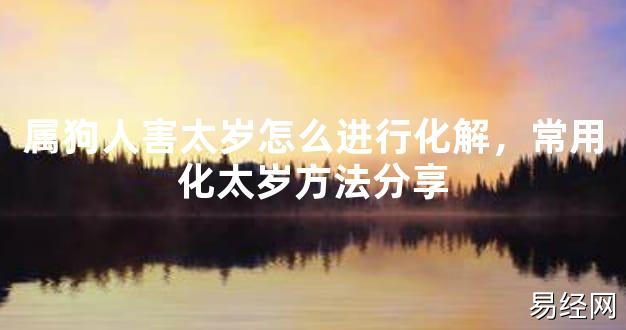 【2024太岁知识】属狗人害太岁怎么进行化解，常用化太岁方法分享,最新太岁