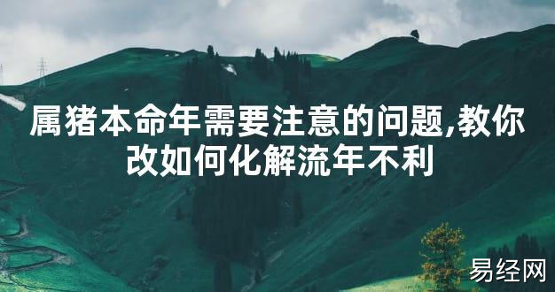 【太岁知识】属猪本命年需要注意的问题,教你改如何化解流年不利,最新太岁