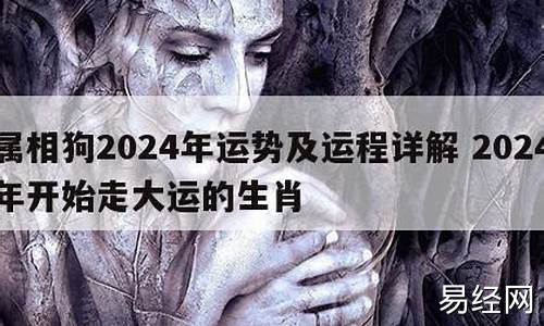 2024年属龙人的全年运势详解-2024年属相运势及运程龙如何详解解析