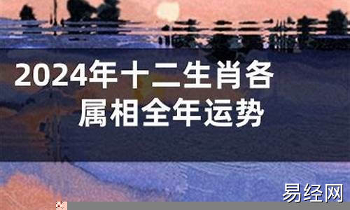 属相运势2024年全年运势如何看呢女孩子-属相运势2024年全年运势如何看呢女孩子