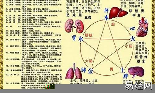 属马金命起名-属马金命起名字大全