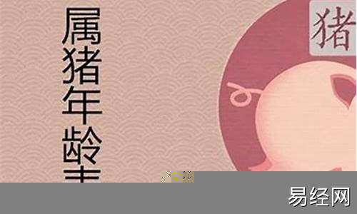 属猪今年多大年龄2020-属猪的今年多大了2024年岁数