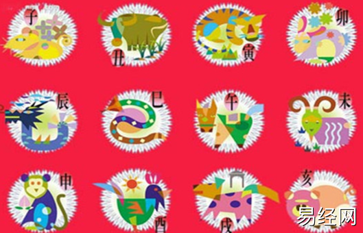 12生肖家肖和野肖