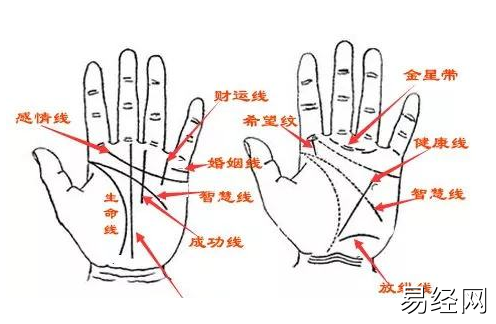 男人左手手相各种解析