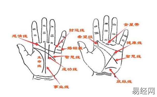 婚姻線看左手還是右手